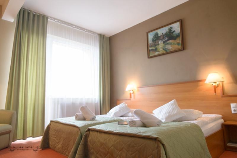 Hotel Rivulus Baia Mare Exterior photo